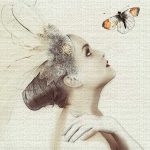 Butterfly fotótapéta 312x219cm