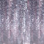 Lilaakác mintás fotótapéta 254x184cm