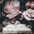 Pink Roses fotótapéta 312x219cm