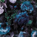 Blue Roses fotótapéta 208x146cm