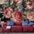 English Roses fotótapéta 152,5x104cm