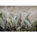 A természet ereje fotótapéta 208x146cm