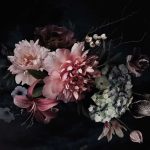 Wildeve Rose fotótapéta 368x254cm