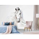 Fehér ló mintás fotótapéta 368x280cm