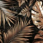 Arany monstera levél mintás fotótapéta 416x254cm