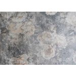 Vintage stílusú halvány rózsa mintás fotótapéta 312x219cm