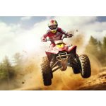 Quad mintás fotótapéta 312x219cm