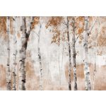 Őszi hangulatú nyírfaerdő mintás fotótapéta 368x280cm