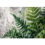 Óriás páfránylevél mintás fotótapéta 368x280cm