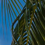 Castaway fotótapéta