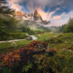 Morning Walk fotótapéta