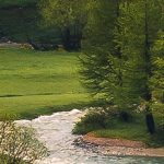 Morning Walk fotótapéta