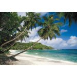 Pálmafás tengerpart mintás fotótapéta