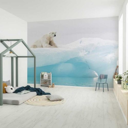 Arctic Polar Bear fotótapéta