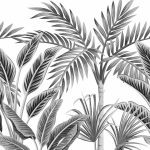 Fekete-fehér trópusi levélmintás vinyl fotótapéta