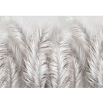 Fehér pálmalevelek fotótapéta 520x318cm