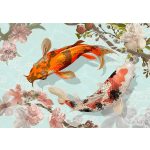 Koi ponty mintás fotótapéta 368x254cm