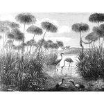 Fekete fehér trópusi tópart mintás fotótapéta 368x254cm