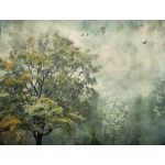 Sejtelmes erdő mintás fotótapéta 368x254cm