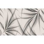 Légies pálmalevél mintás fotótapéta 368x280cm