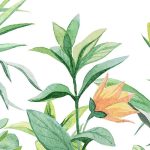 Dzsungel mintás fotótapéta egzotikus virágokkal