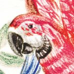 Szafari mintás fotótapéta