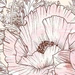 Allegra fotótapéta