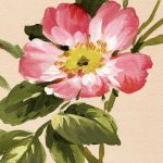 Romantikus madármintás fotótapéta