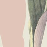 Pasztell színű modern trópusi levélmintás vlies fotótapéta