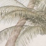 Pálma oázis vlies fotótapéta