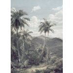 Egzotikus pálmafás fotótapéta