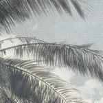 Egzotikus pálmafás fotótapéta