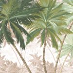 Palmera fotótapéta