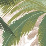 Palmera fotótapéta