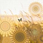 Circle of Life Mellow fotótapéta