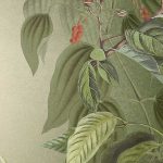 Wildlife Birds fotótapéta