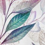 Eucalyptus fotótapéta