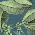 Jacinta fotótapéta