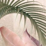 Rainforest Mist fotótapéta