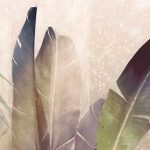 Rainforest Mist fotótapéta