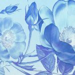 Blue Aura fotótapéta