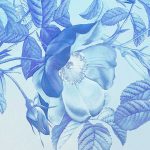 Blue Aura fotótapéta