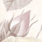 La Maison fotótapéta