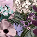 Botanica fotótapéta