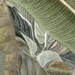 Amazonia fotótapéta