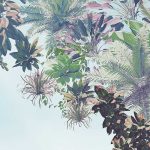 Tropical Heaven fotótapéta